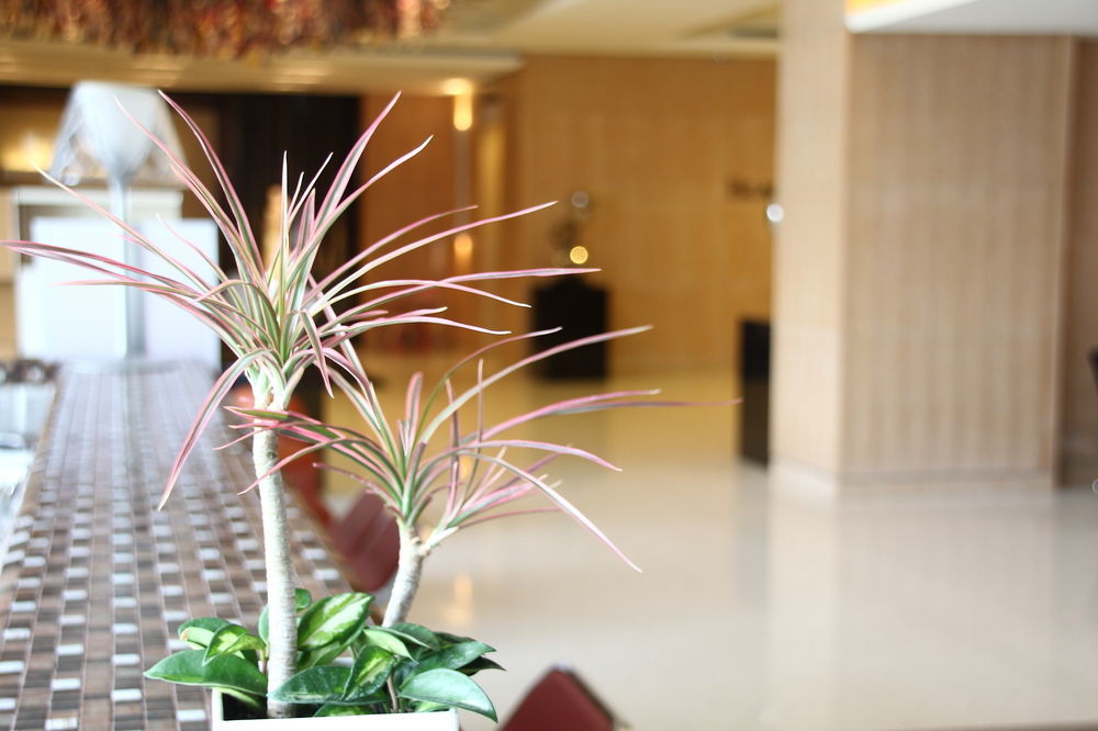 Beacon Hotel Ταϊχούνγκ Εξωτερικό φωτογραφία